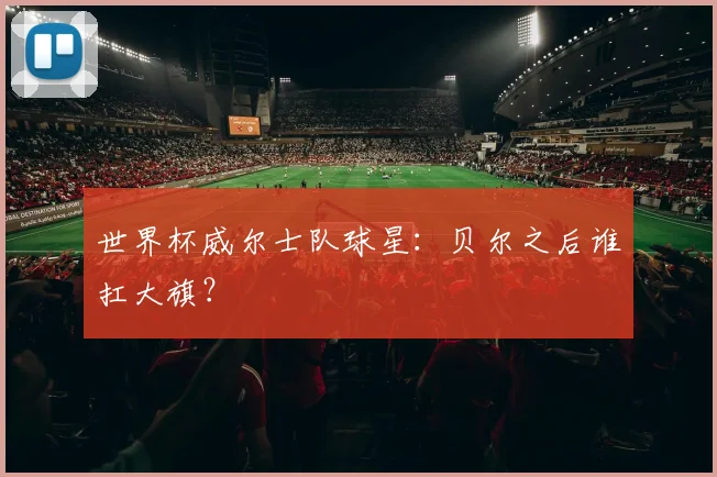 世界杯威尔士队球星:贝尔之后谁扛大旗?