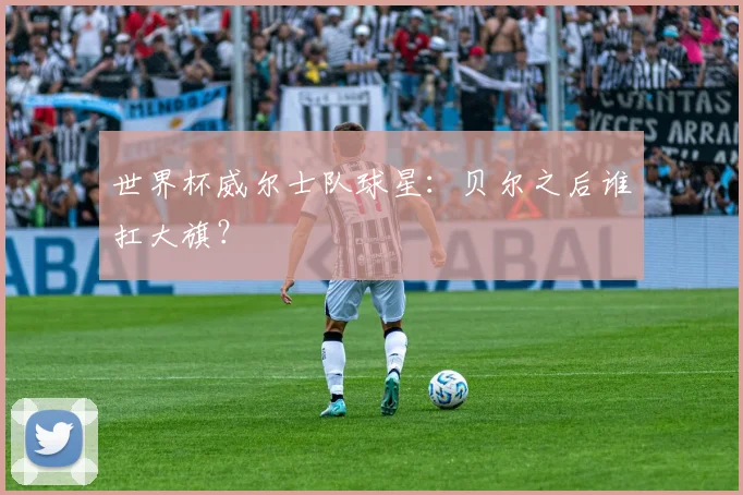 世界杯威尔士队球星：贝尔之后谁扛大旗？